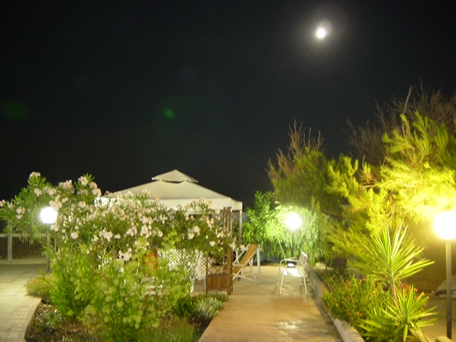 PHOTO-2020-06-21-13-58-10 (3)